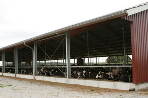 moderner Kuhstall Kuhstall