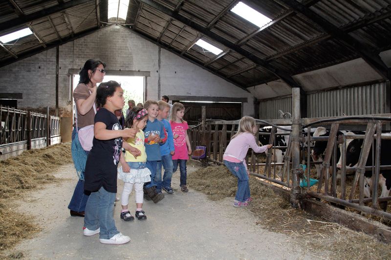 Kinder erkunden den Kuhstall